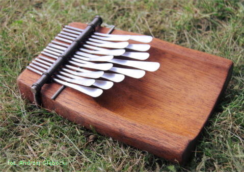 Instrument karimba 421