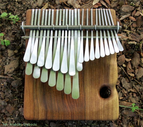 Instrument nr 418