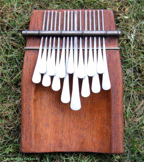 karimba widok z góry