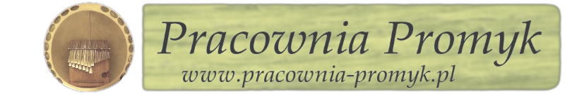Banner z napisem www.pracownia-promyk.pl na zielonym tle a obok zdjęcie mbiry dza vadzimu umieszczonej w żółtym kulistym rezonatorze, podobnym do tykwy